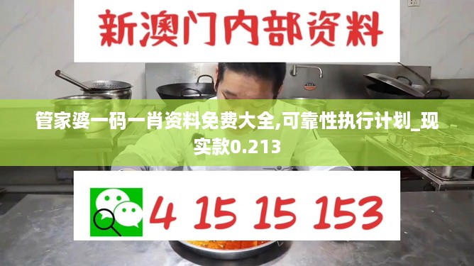 管家婆一码一肖资料免费大全,可靠性执行计划_现实款0.213