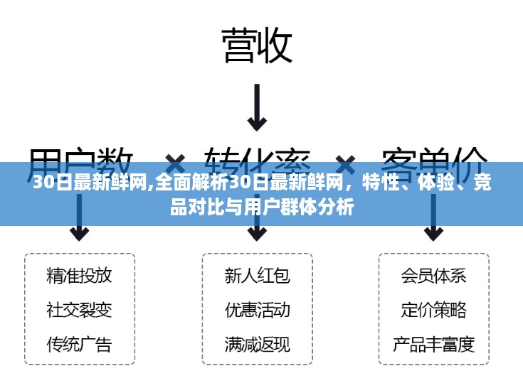 全面解析30日最新鲜网，特性、体验、竞品对比及用户群体深度分析