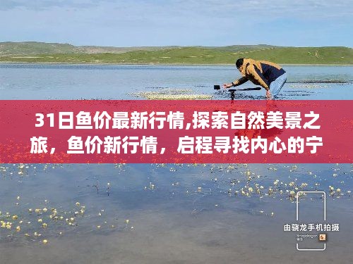 探索自然美景之旅，最新鱼价行情与寻找内心宁静的启程