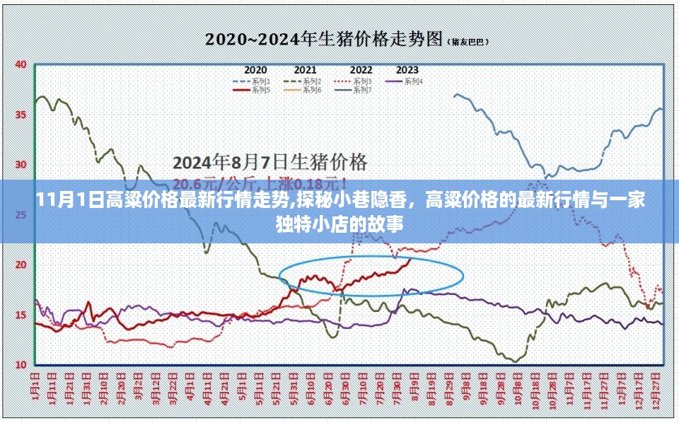 2024年11月1日 第54页