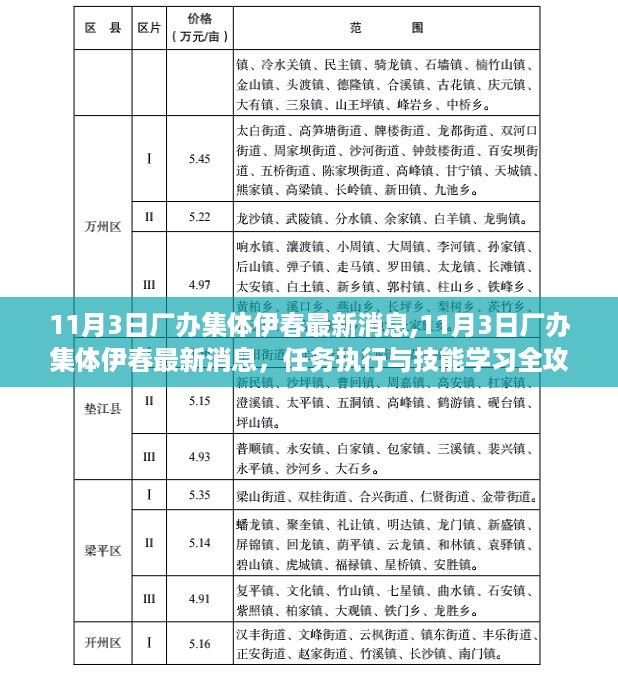 11月3日厂办集体伊春最新消息，任务执行与技能学习全攻略