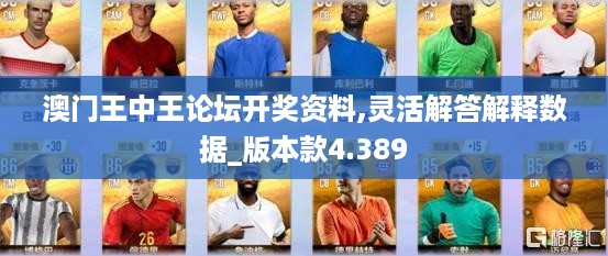 澳门王中王论坛开奖资料,灵活解答解释数据_版本款4.389