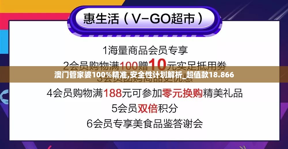 澳门管家婆100%精准,安全性计划解析_超值款18.866