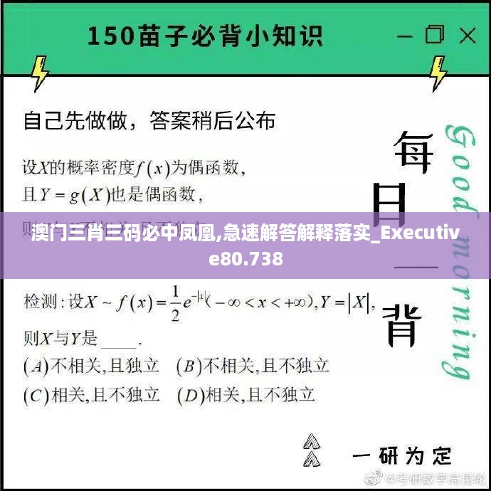 澳门三肖三码必中凤凰,急速解答解释落实_executive80.738