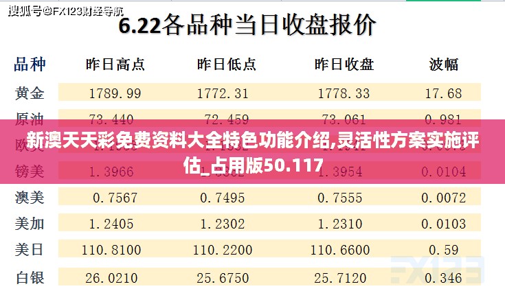 新澳天天彩免费资料大全特色功能介绍,灵活性方案实施评估_占用版50.117