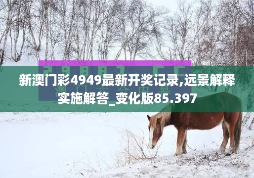 新澳门彩4949最新开奖记录,远景解释实施解答_变化版85.397