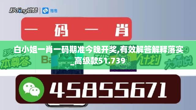 白小姐一肖一码期准今晚开奖,有效解答解释落实_高级款51.739