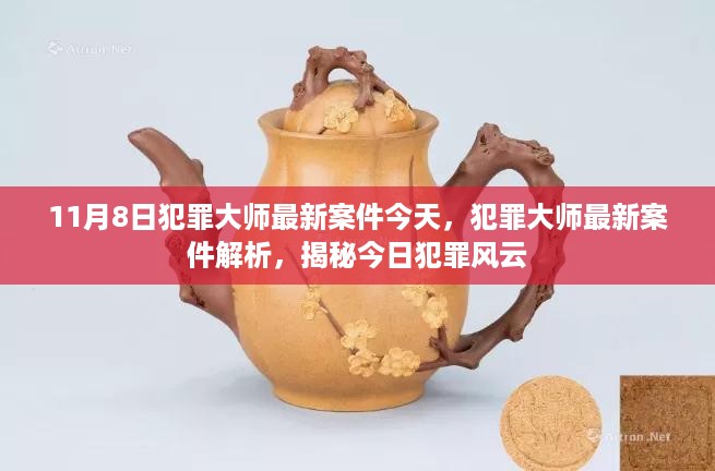 揭秘犯罪大师最新案件，今日风云解析