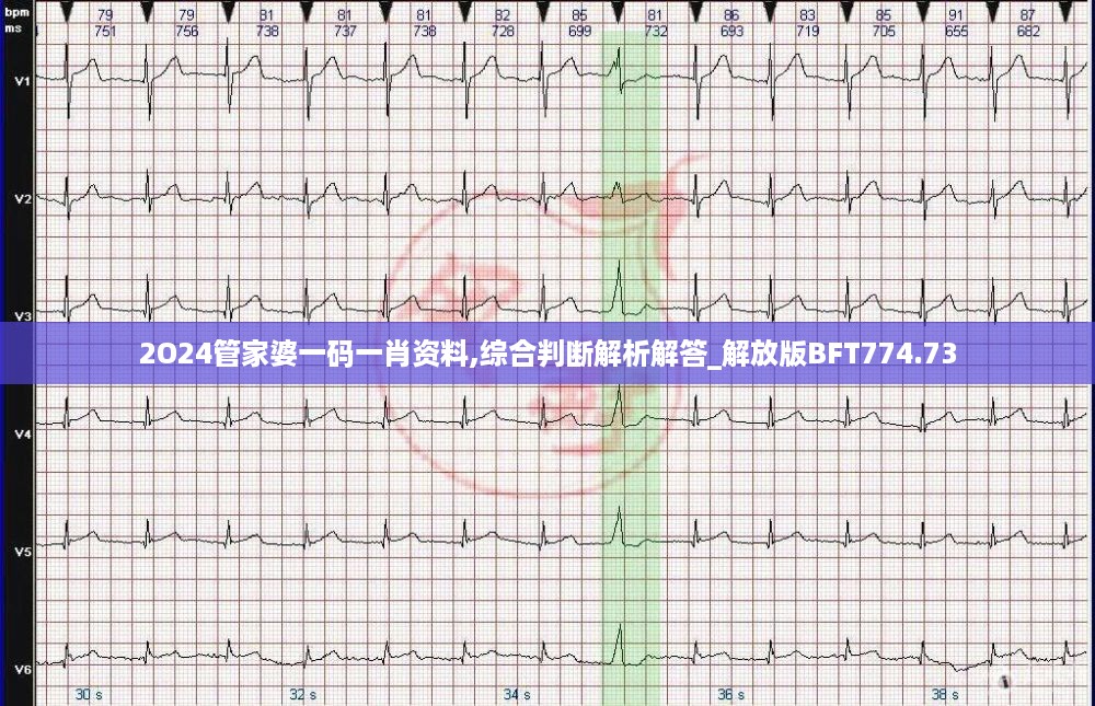 2o24管家婆一码一肖资料,综合判断解析解答_解放版bft774.73