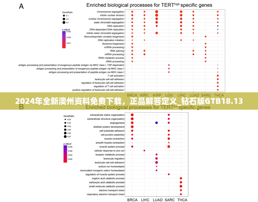 2024年全新澳州资料免费下载，正品解答定义_钻石版gtb18.13