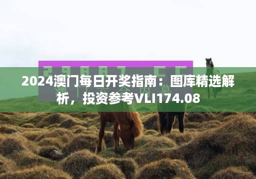 2024澳门每日开奖指南：图库精选解析，投资参考vli174.08