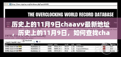 历史上的11月9日chaavv最新地址探索及详细查找指南（含犯罪风险警示）