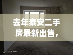 泰安二手房市场翻新篇章，科技引领交易体验升级