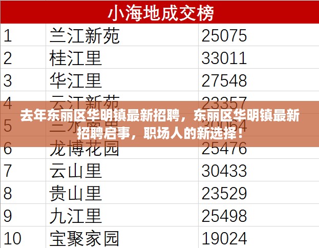 东丽区华明镇最新招聘启事，职场人的新选择之地！