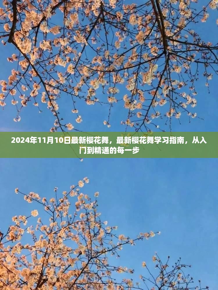 2024樱花舞学习指南，从入门到精通的全面教程