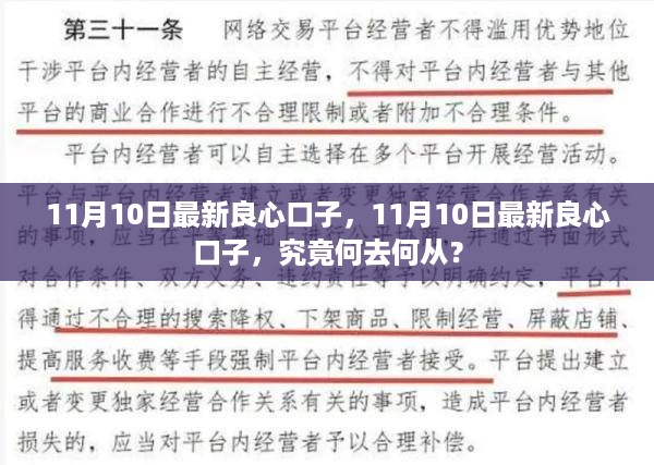 11月10日最新良心口子何去何从？揭秘最新发展动态