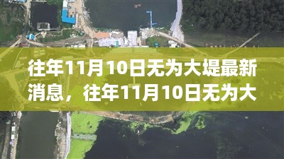 往年11月10日无为大堤，多方观点与个人立场的碰撞与动态更新