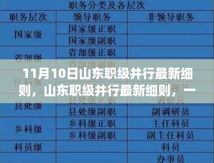 山东职级并行最新细则发布，照亮公务员职业发展的光芒（11月更新）