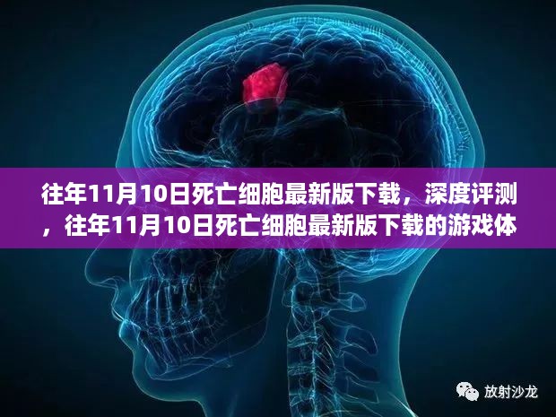 往年11月10日死亡细胞最新版下载解析，游戏体验与特性深度评测